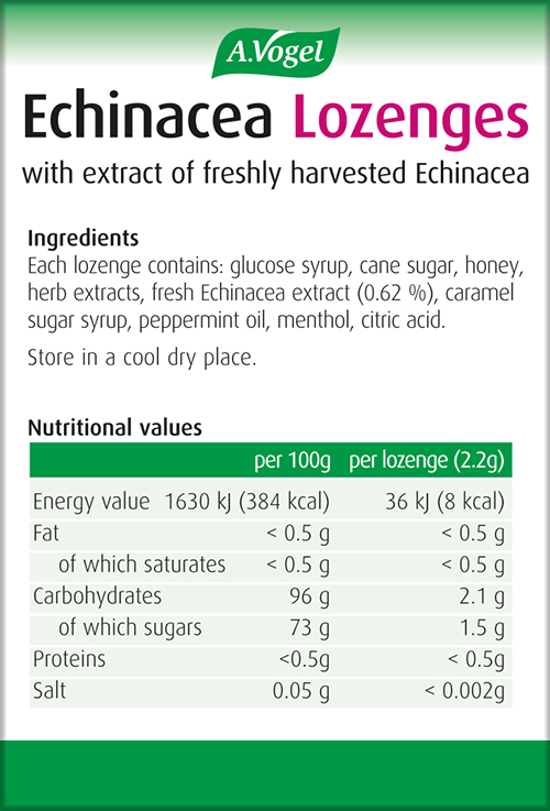 ECHINACEA LOZENGERS 30g A/VOGEL - Image 2