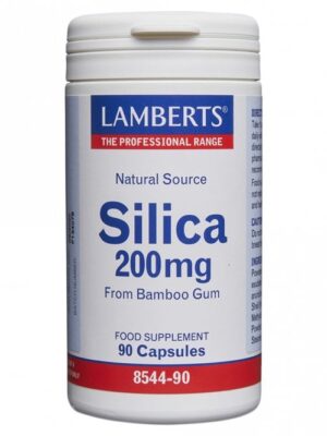 SILICA 200mg 90 Caps LAM