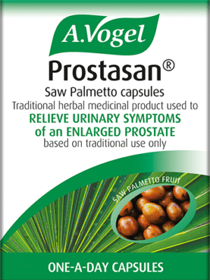 PROSTASAN SAW PALMETTO 90 CAPSULES A/VOGEL