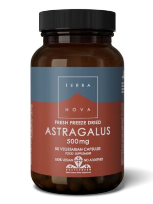 ASTRAGALUS 500mg 50 CAPSULES T/NOVA