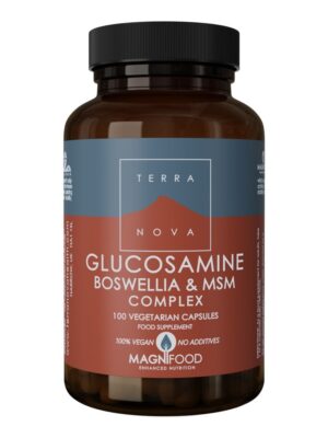 GLUCOSAMINE BOSWELLIA MSM 100 CAPS T/NOVA