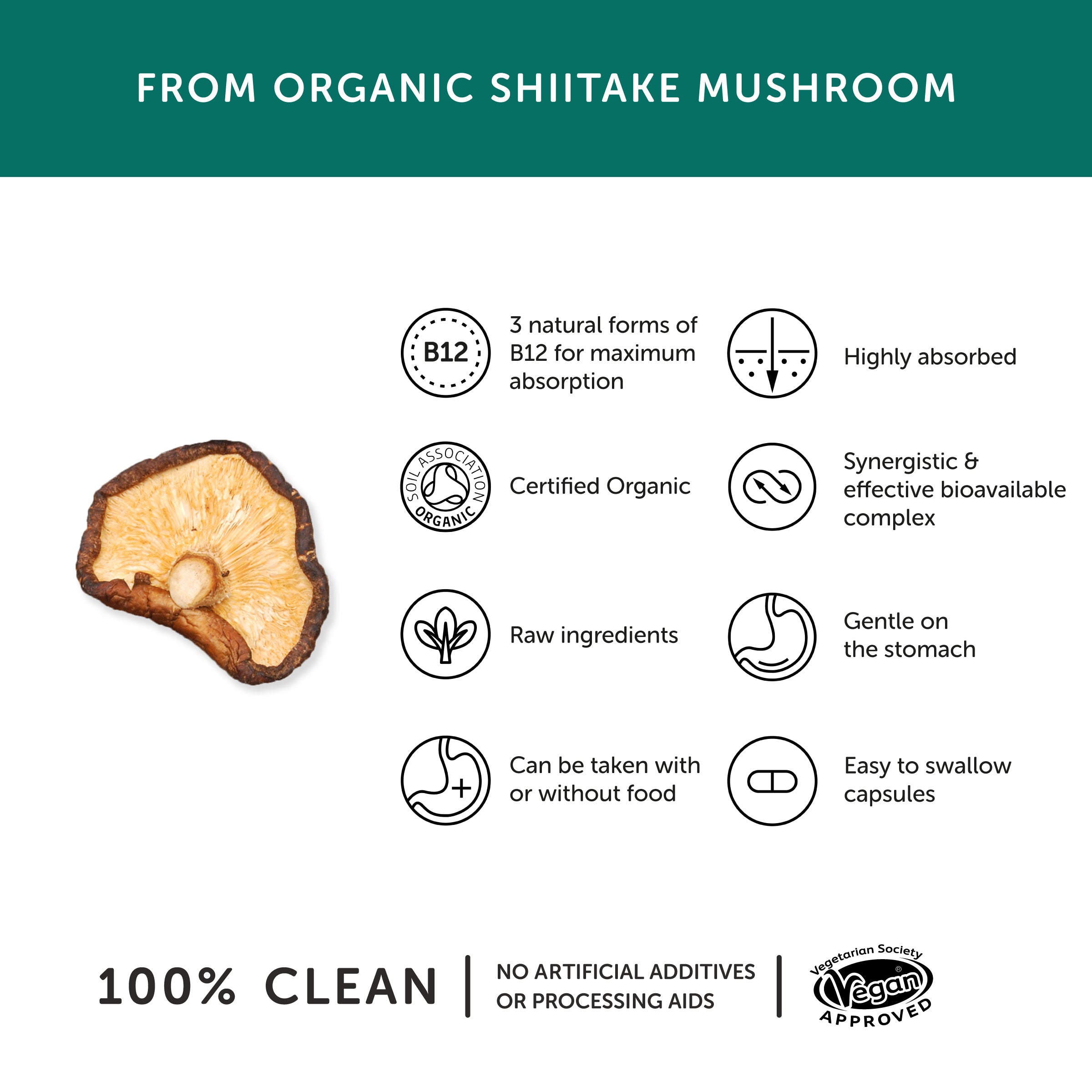 ORGANIC MUSHROOM B12 30 Caps T/HEALTH - Image 2