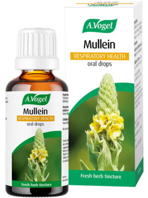 MULLEIN ORAL DROPS 50ml A.VOGEL