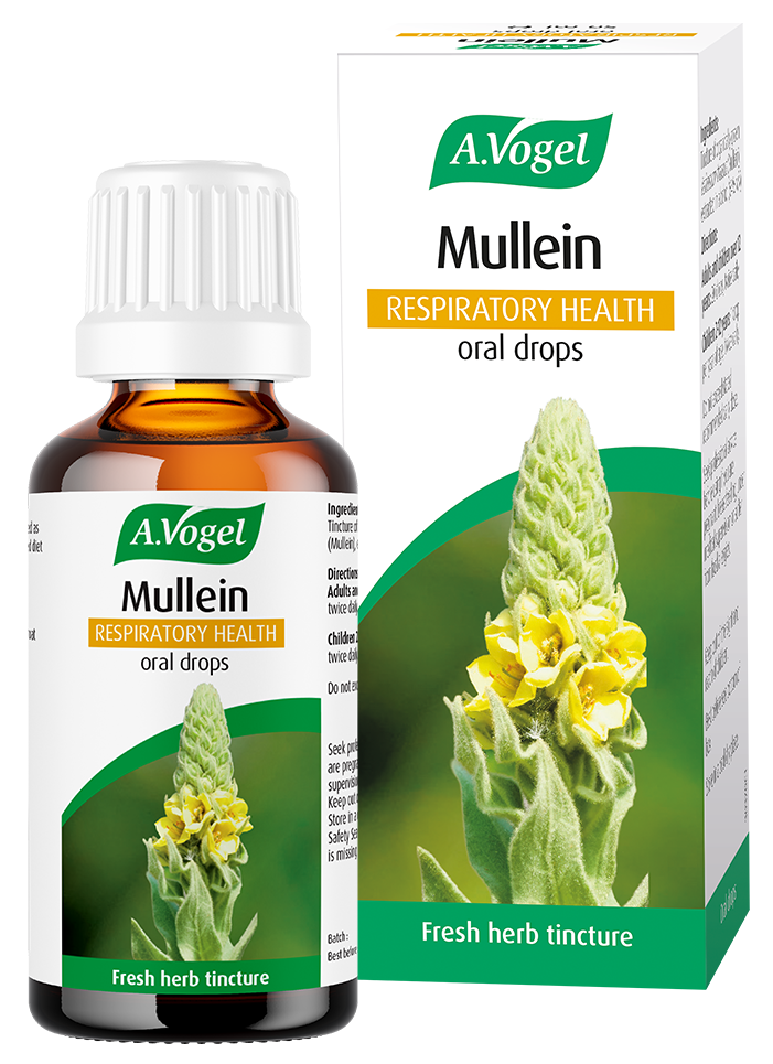 MULLEIN ORAL DROPS 50ml A.VOGEL